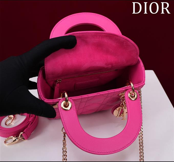 2025228Y700P205625407