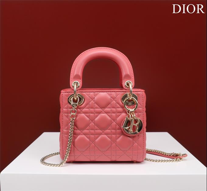 2025228Y700P205625469