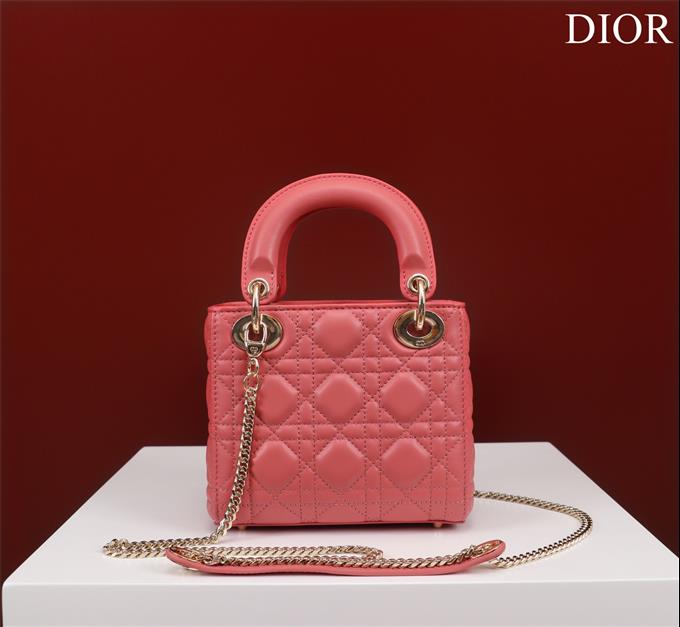 2025228Y700P205625500