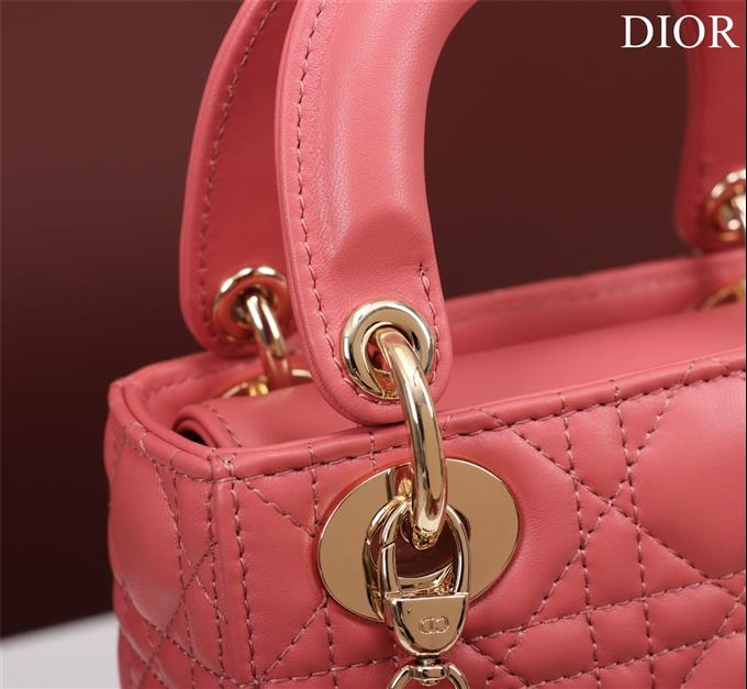 2025228Y700P205625562