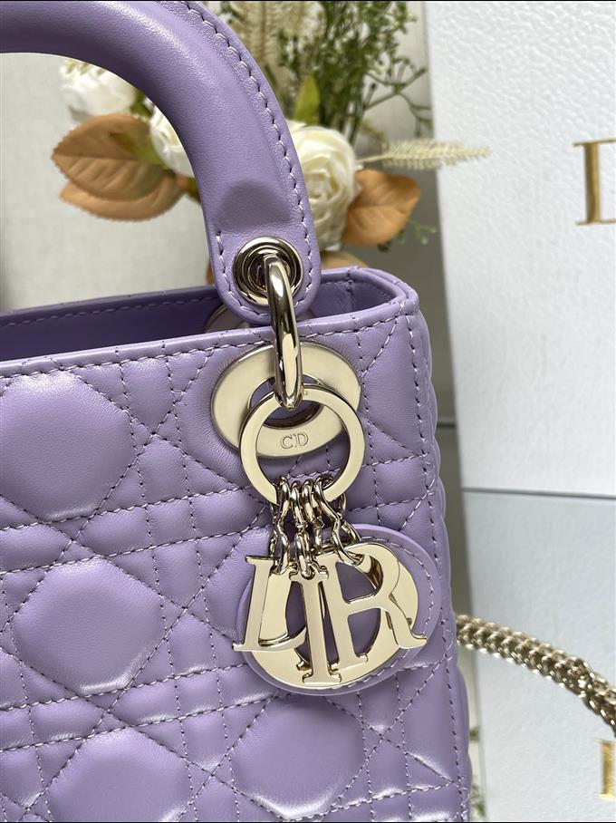 2025228Y700P205626855