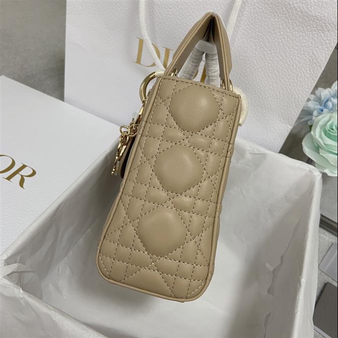 2025228Y700P205627453