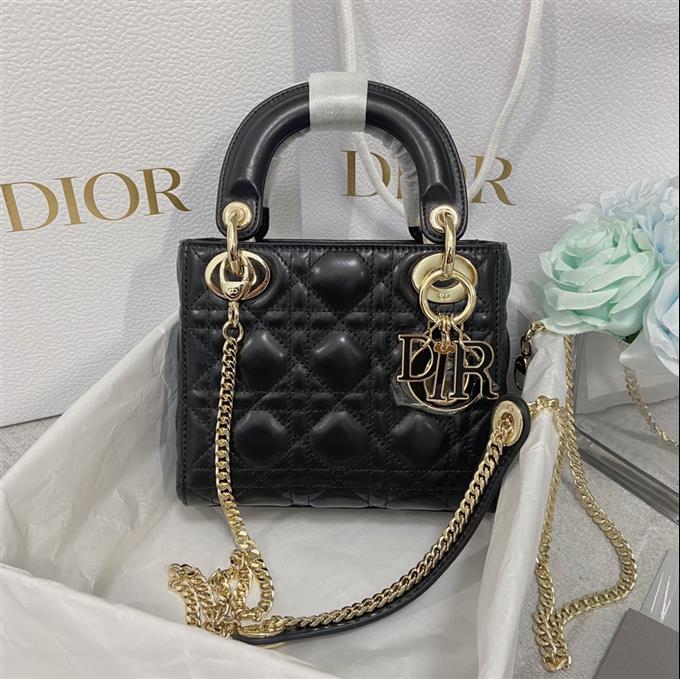 2025228Y700P205627831