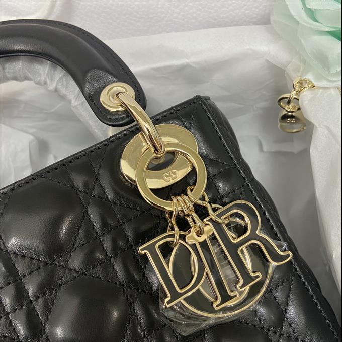 2025228Y700P205627846