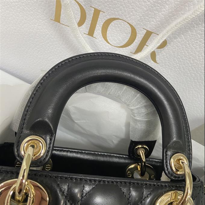 2025228Y700P205627892