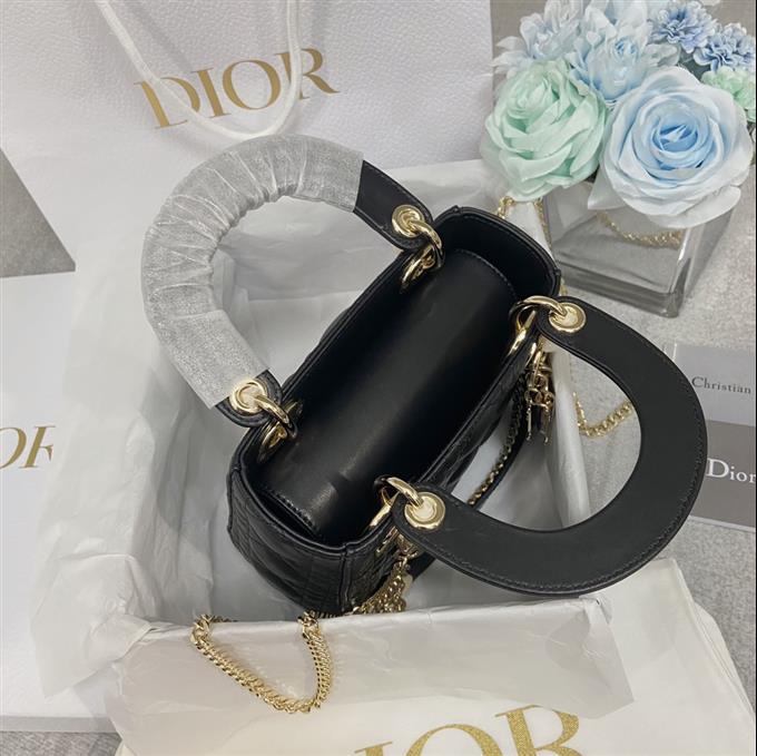 2025228Y700P205627923