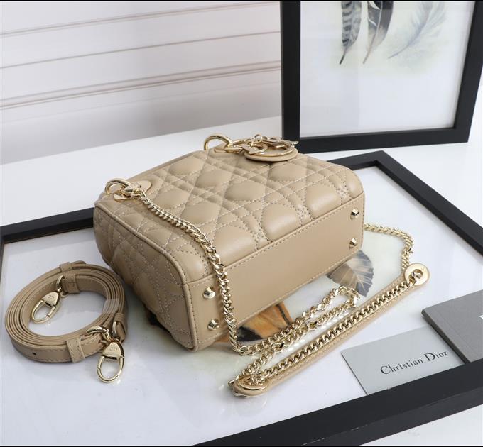 2025228Y700P22130561