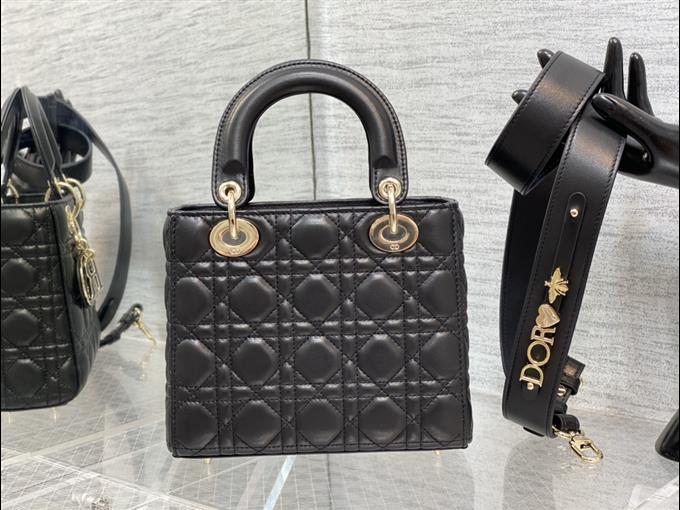 2025228Y750P205630311