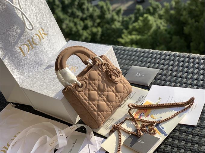 2025228Y900P205546261