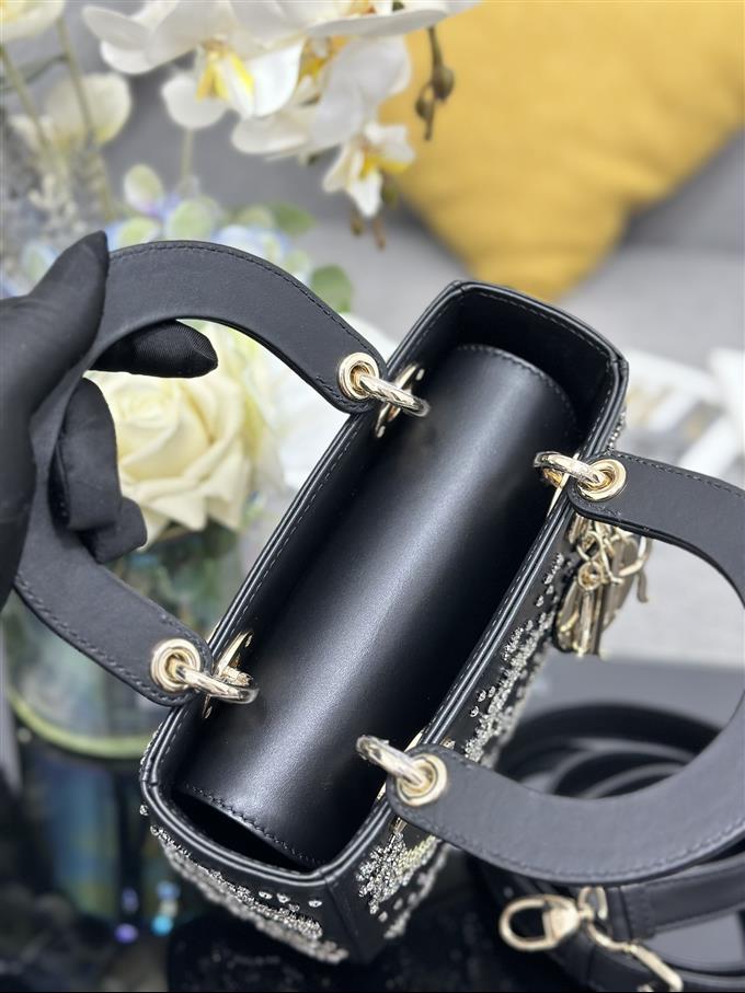 2025228Y1550P211546266