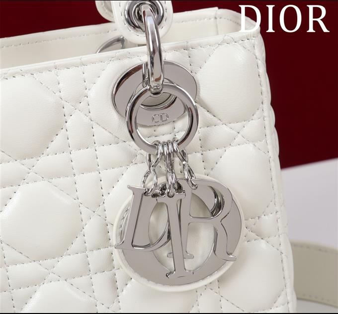 2025228Y650P211544505