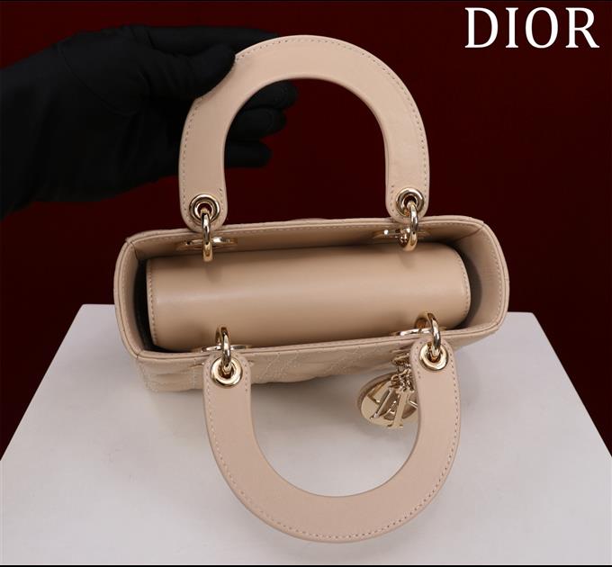 2025228Y650P211549676