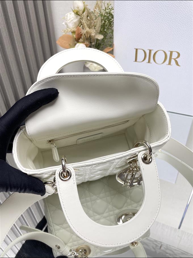 2025228Y650P211550244