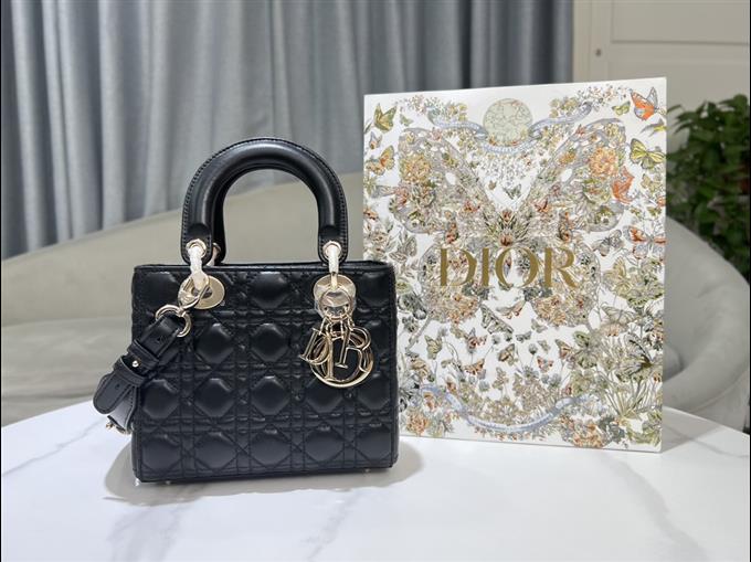 2025228Y650P211552505