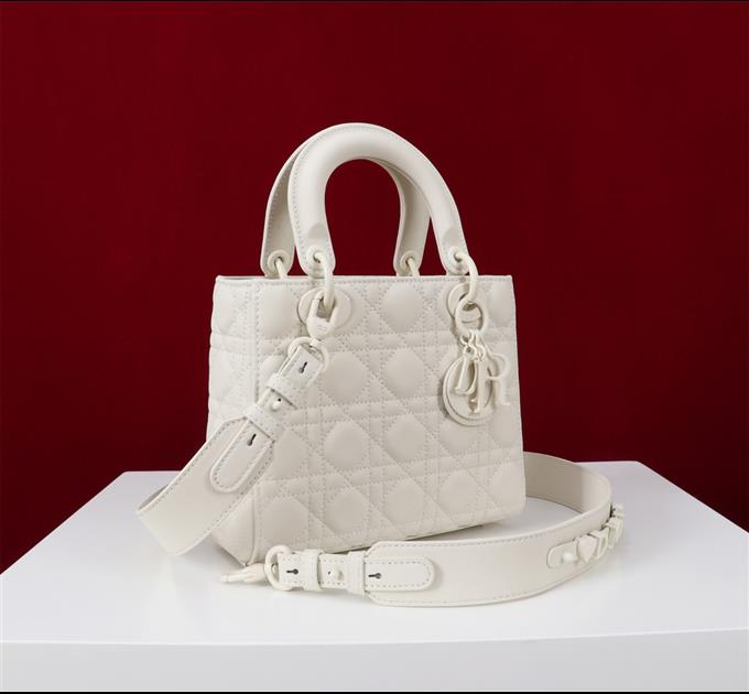 2025228Y700P211610506