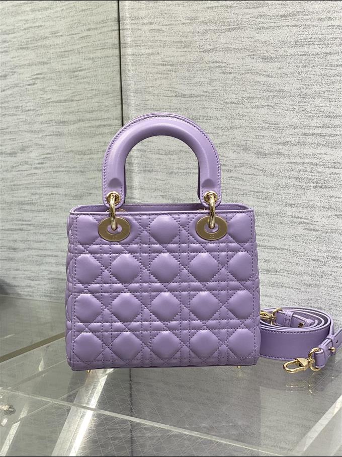 2025228Y700P211610977