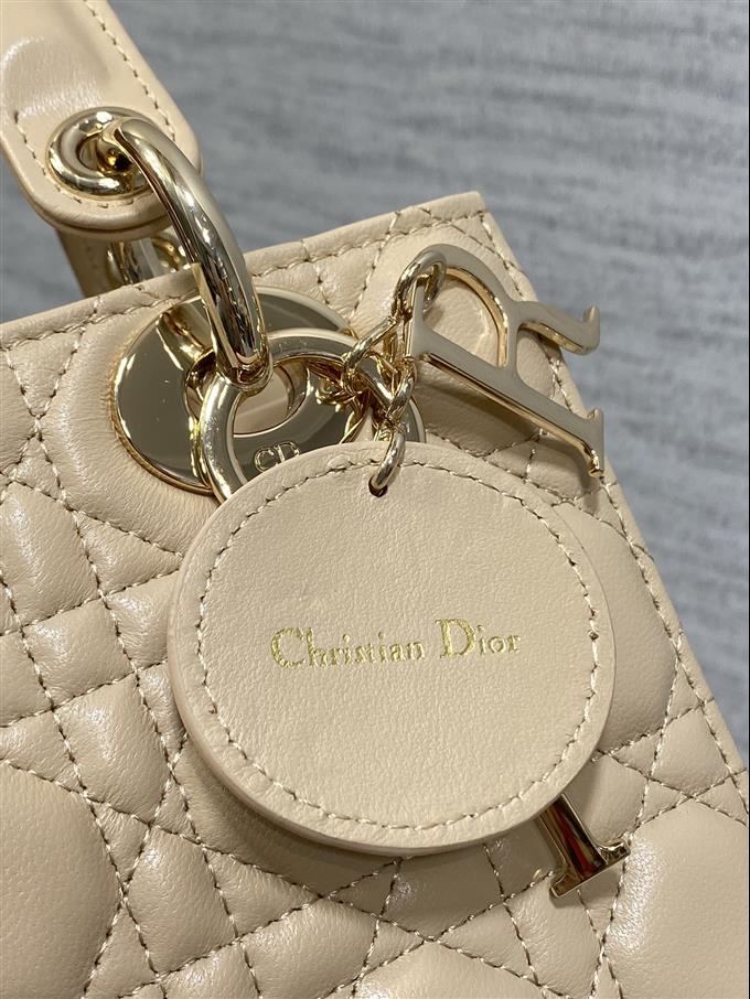 2025228Y700P211611244