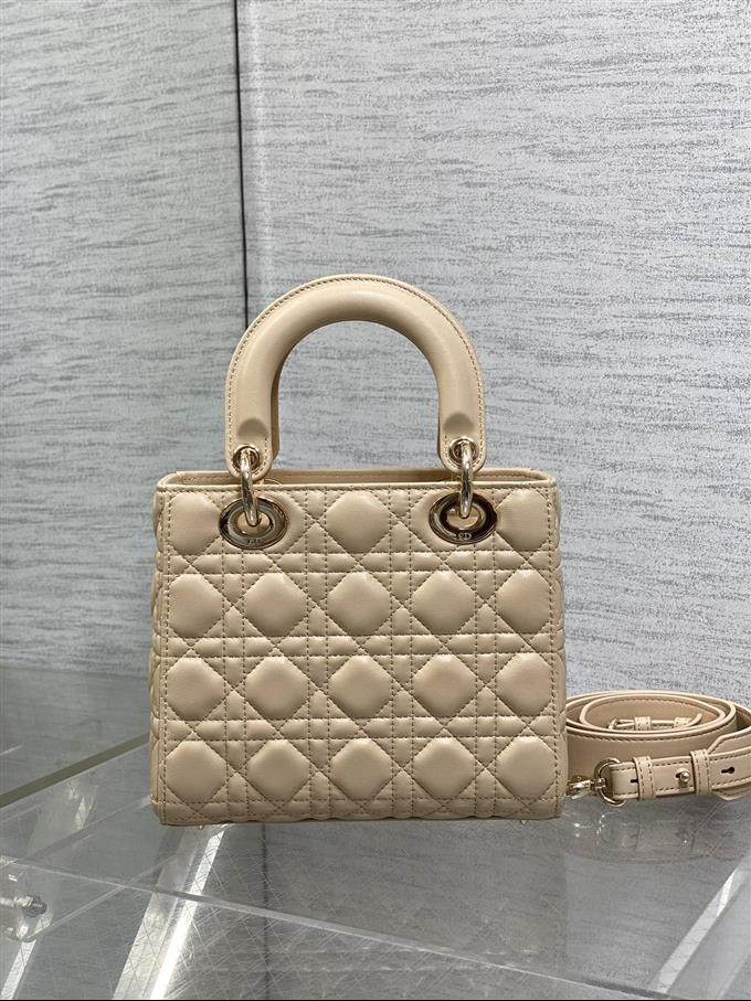 2025228Y700P211611260