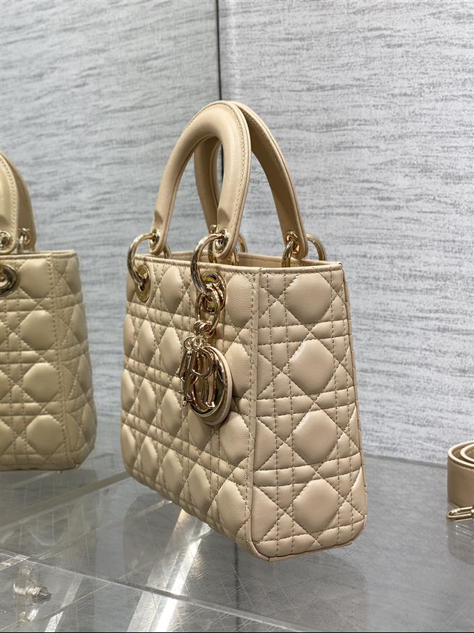 2025228Y700P211611275