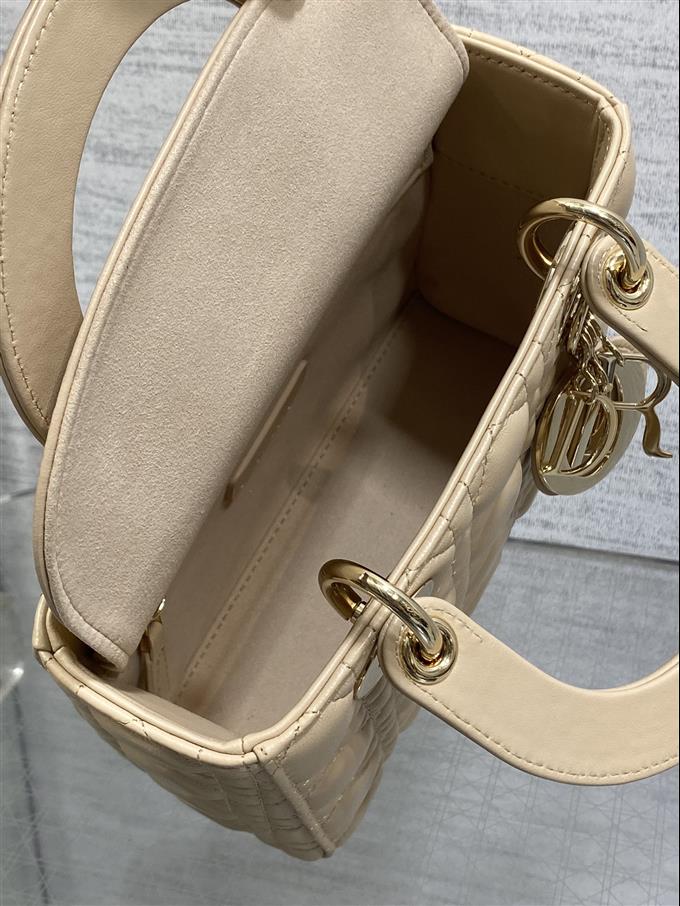 2025228Y700P211611307