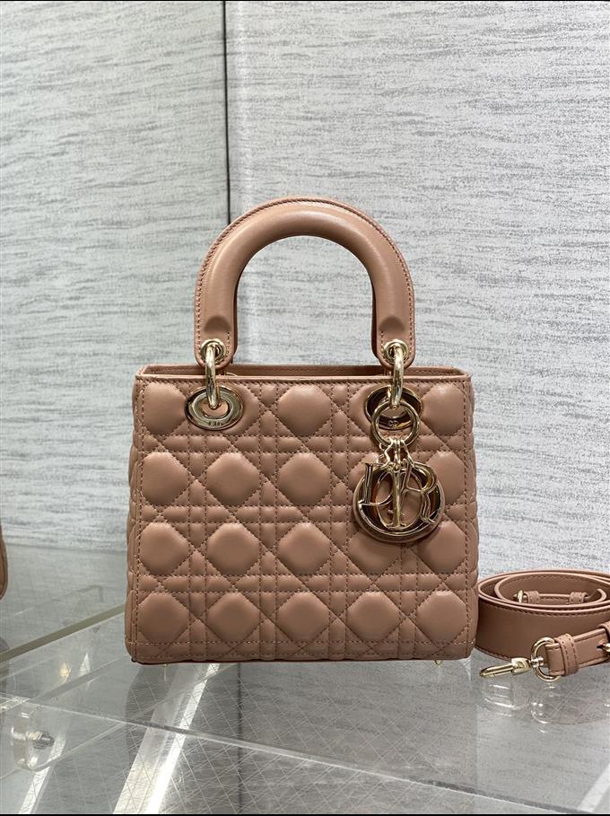 2025228Y700P211611781