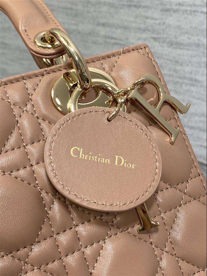 2025228Y700P211611812