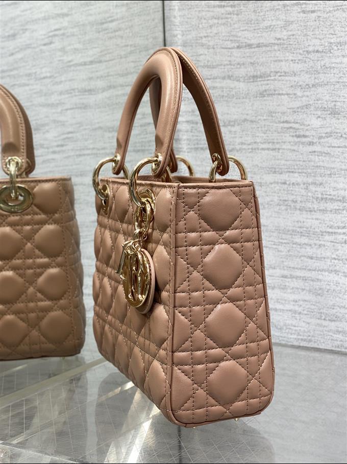 2025228Y700P211611842