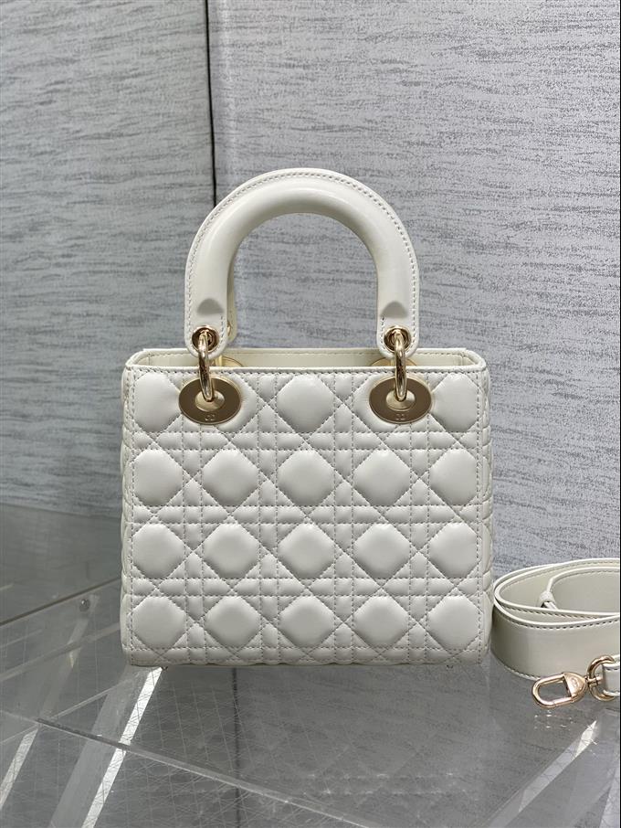 2025228Y700P211612106