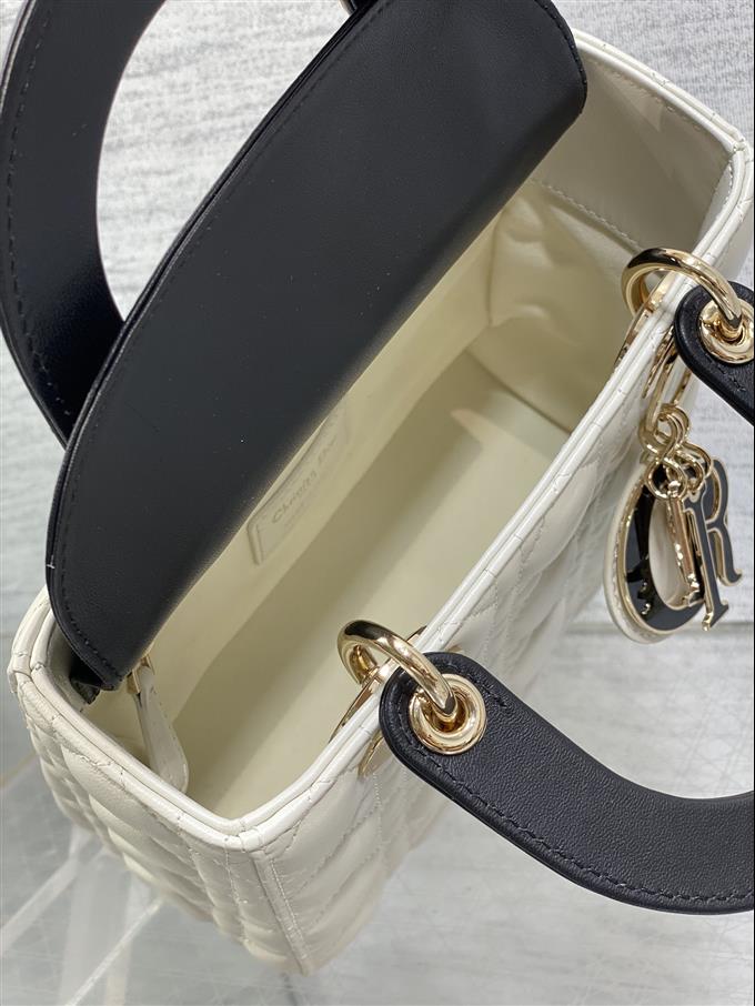 2025228Y750P211724295