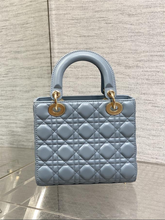 2025228Y800P211544882