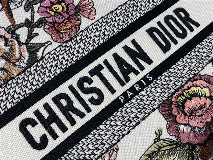 2025228Y650P205719419