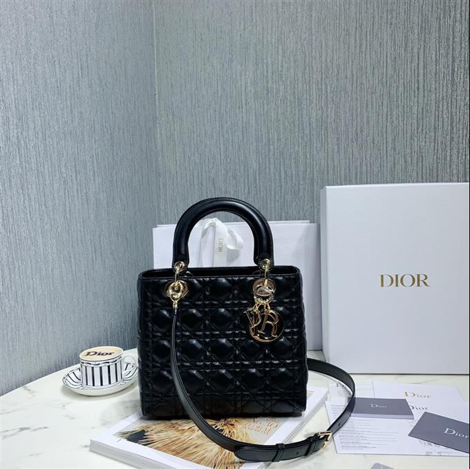 2025228Y700P205722261