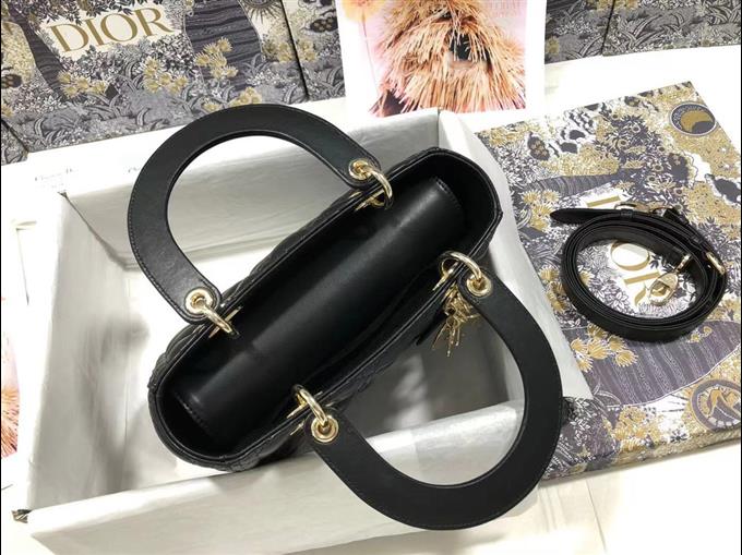 2025228Y700P205722481