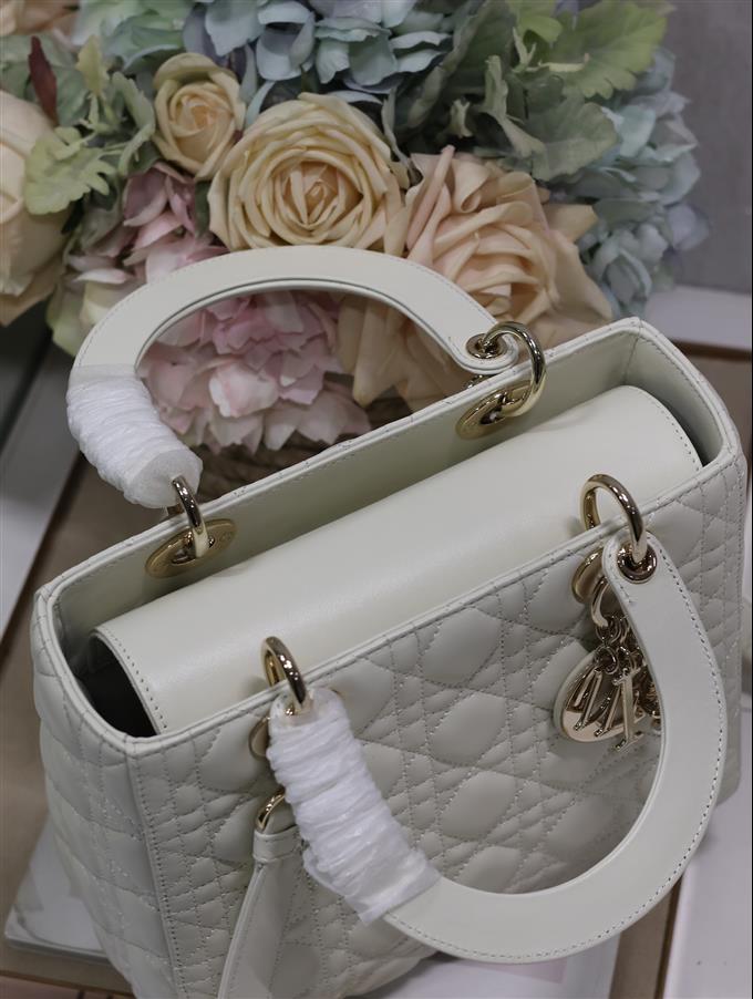 2025228Y700P211342333