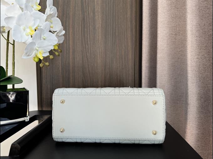 2025228Y700P211349115