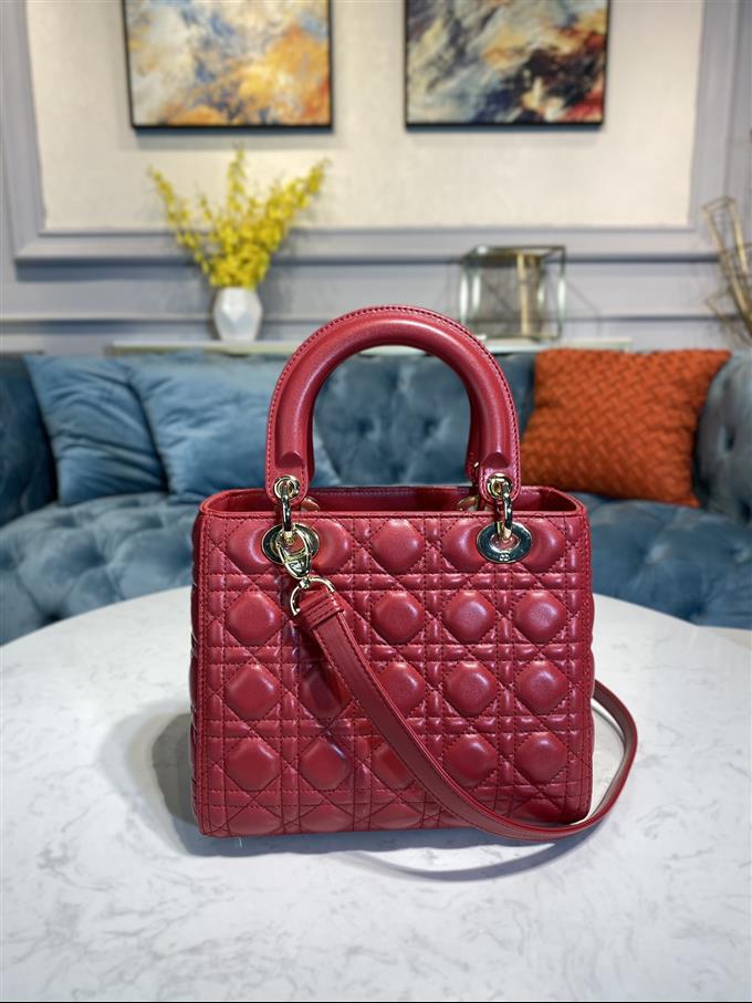 2025228Y700P211350185