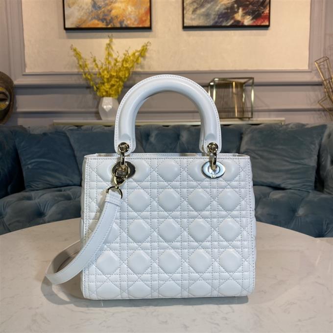 2025228Y700P211350438