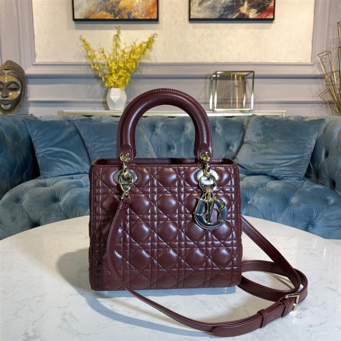 2025228Y700P212555179