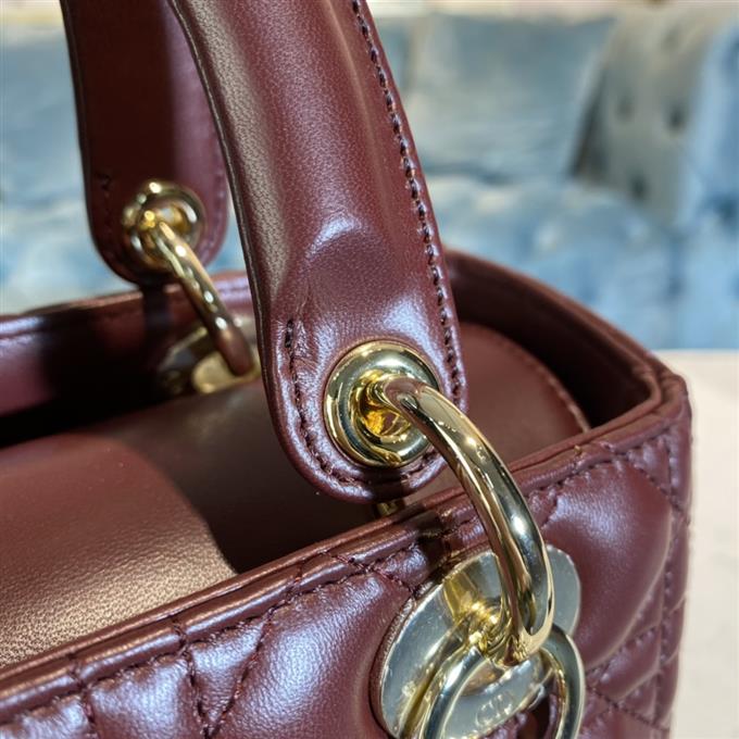 2025228Y700P212555235