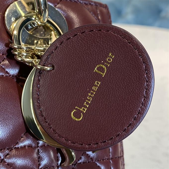 2025228Y700P212555281