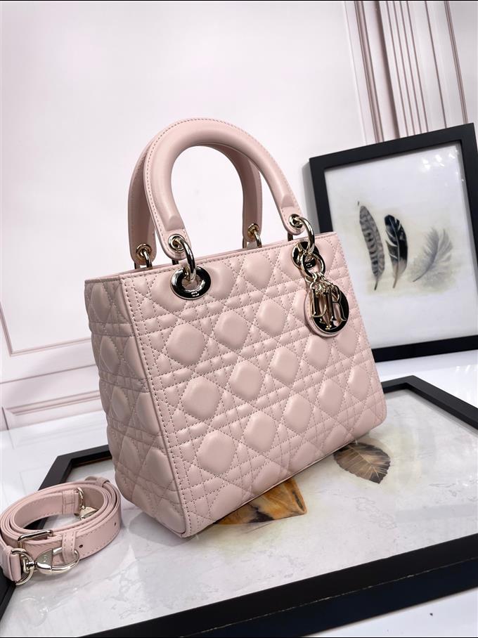 2025228Y700P212555736