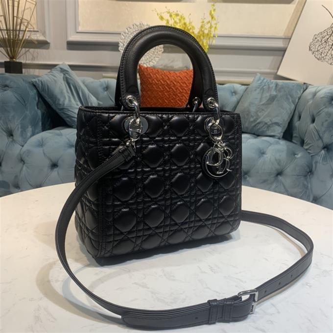 2025228Y700P221321157