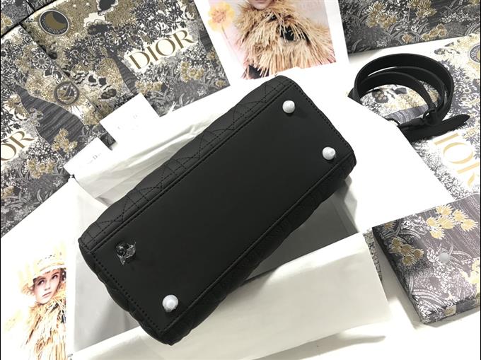 2025228Y750P211353641