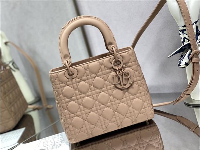 2025228Y750P211354175