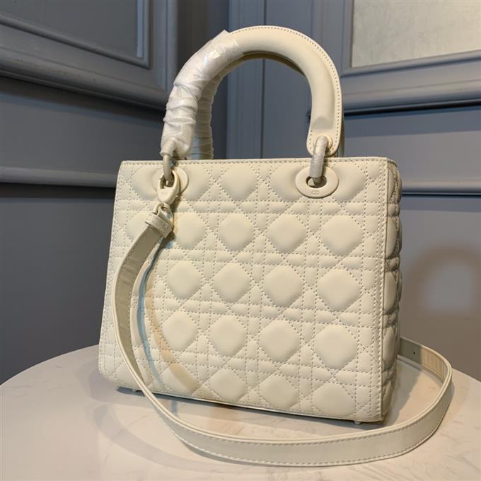 2025228Y750P222256558