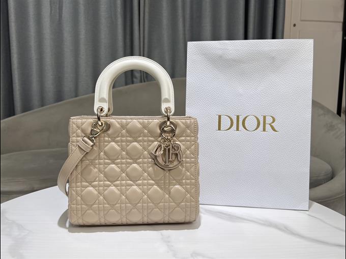 2025228Y800P20572434