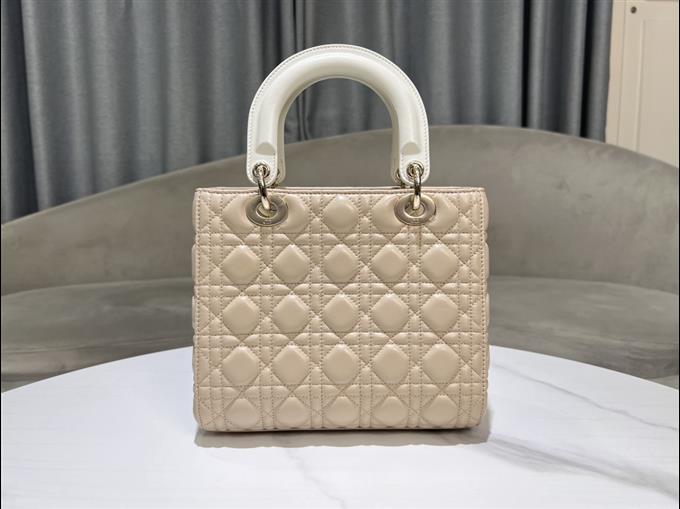 2025228Y800P20572464