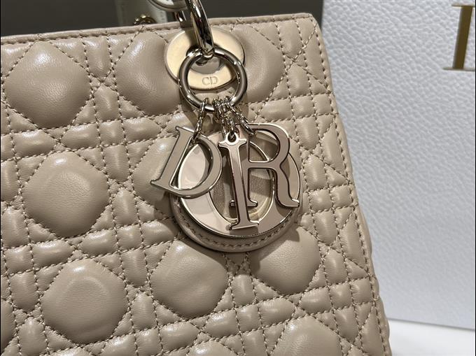 2025228Y800P20572479