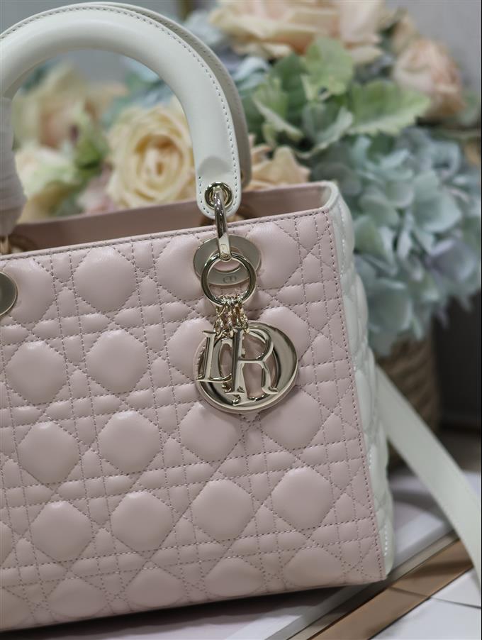 2025228Y800P211354788