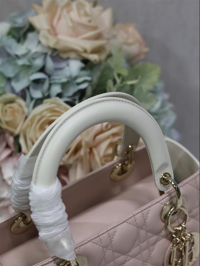 2025228Y800P211354804